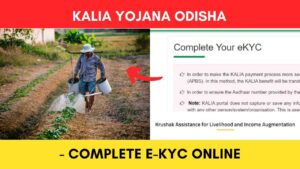 KALIA Yojana e-KYC 2023 - How to complete eKYC online Odisha