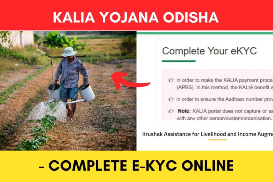 KALIA Yojana e-KYC 2023 - How to complete eKYC online Odisha