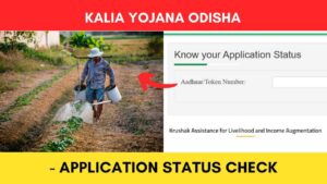 KALIA Yojana Application Status Check Online Odisha 2023