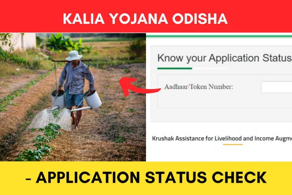 KALIA Yojana Application Status Check Online Odisha 2023