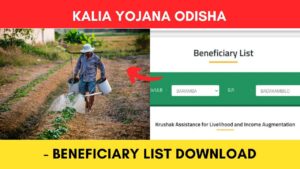 KALIA Yojana List 2022 - Check Beneficiary List Online Odisha